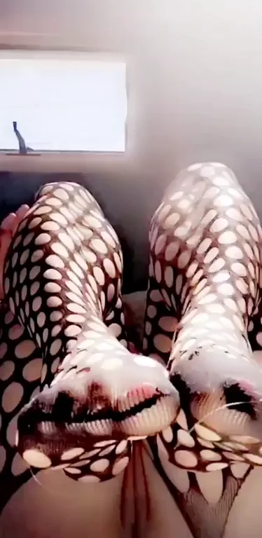 Fishnet fun