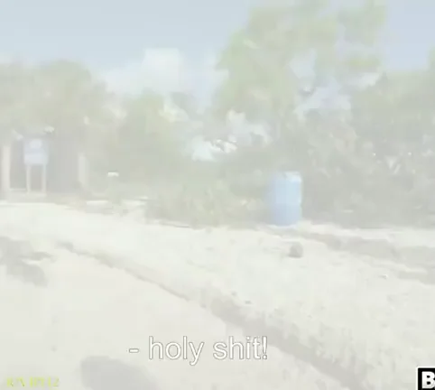 Rent An Island To Fuck