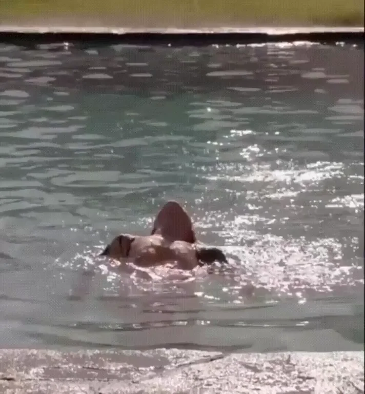 Camilla Luddington's Wet Tits & Pool Tease 😍💦