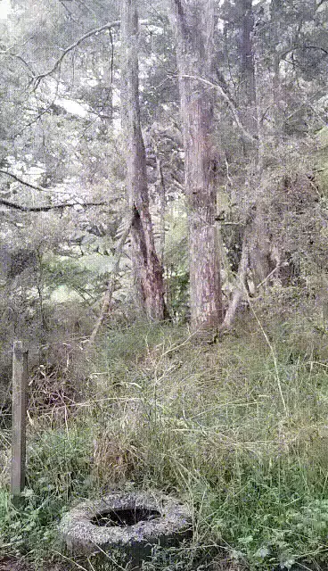 Bushlands