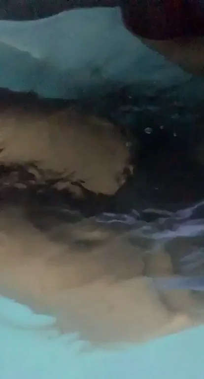 we love a naughty, naked late night swim ðŸŠðŸ½"â™€ï¸