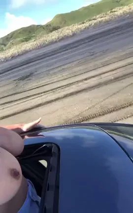 Letting the girls out on the beach drive