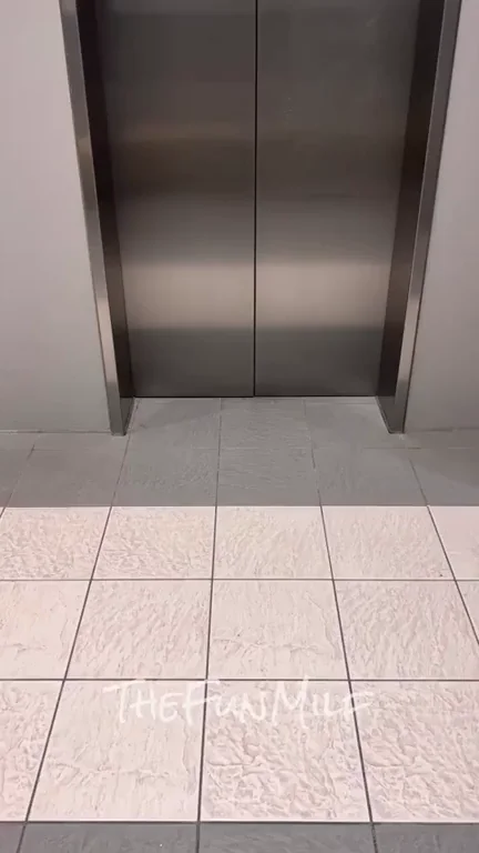 Never take the stairs with me! [GIF]