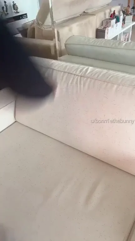 Who wants to use my booty as a mask?