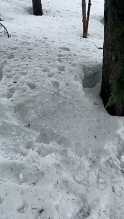 Anybody out here like the snow ? What do you think of my wife's tits ?