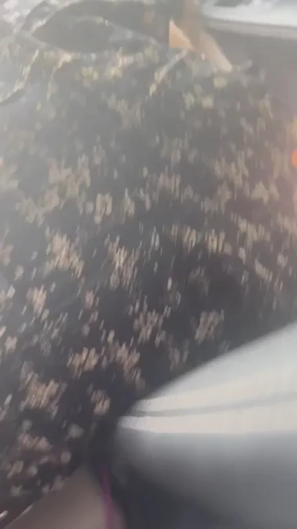 🚗 Couldn't Wait, Sloppy Car Blowjob Feast 💦🍆