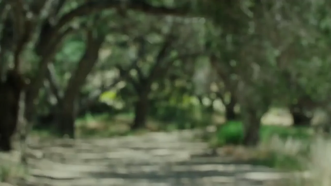 Annalise Basso in Furlong #2 [2019]