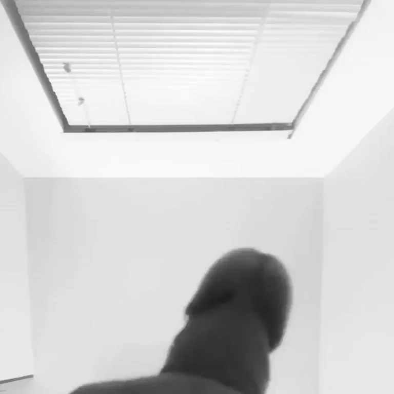 Whiteout