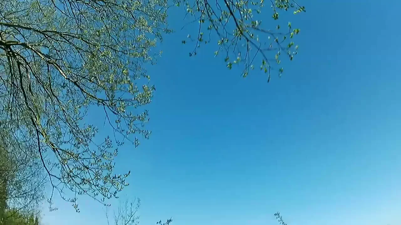 Plane Flies By, Tits Say HI with Epic Outdoor Bounce