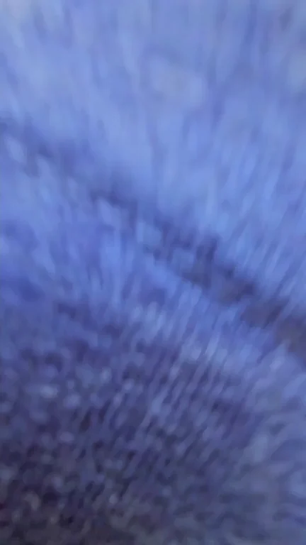 Peanut Butter Meets Jelly: Thick PAWG's Huge Tits Surprise 🍯🍇🔥