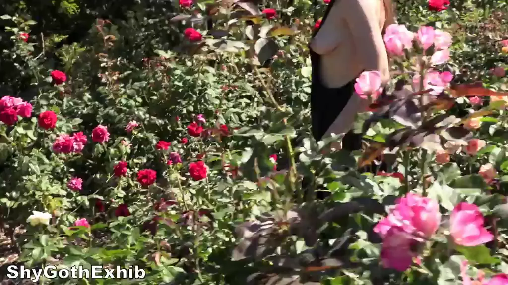 Walking in a large garden with my tits out [GIF]