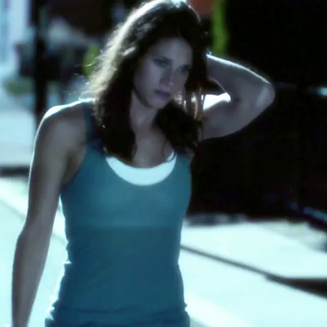 Missy Peregrym