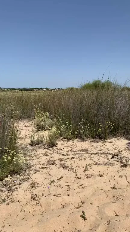 Wait for it!
