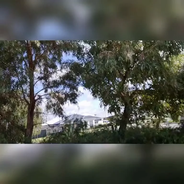 Femboy Slut Yanks Butt Plug Out in Public Park
