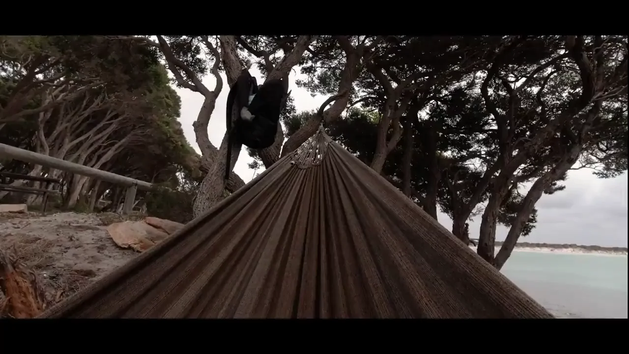 Yeah, hammock sex can be tricky, but we mastered it!
