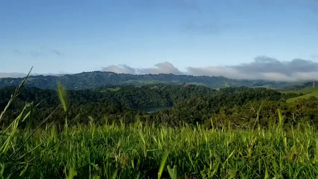 Hilltop Stroll