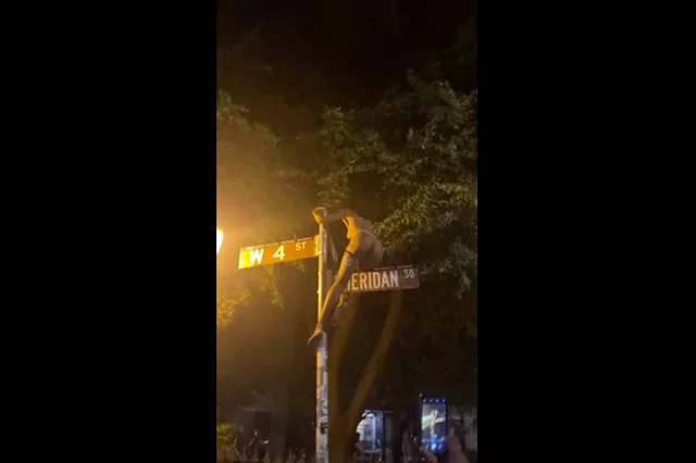 Sheridan SQ Pussy Flash 💦🌳🔥