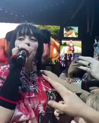 Billie Eilish Gets Handsy with Horny Fans at Concert 😈🎤