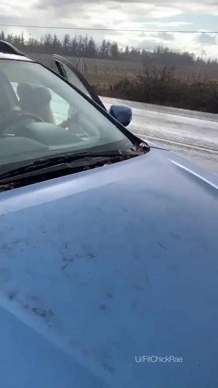 Sneaky Naked Snow Slut Driving Home 😈❄️🔥 [GIF]