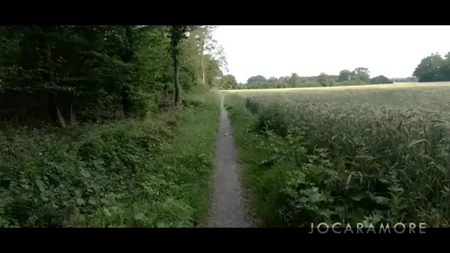 Outdoor blowjob out in the open! We love to spend time in nature.