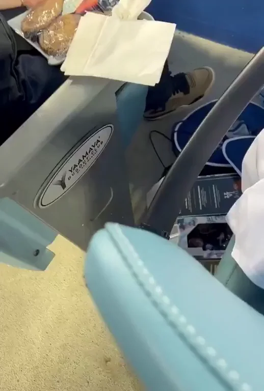 Billie at the Dodgers game