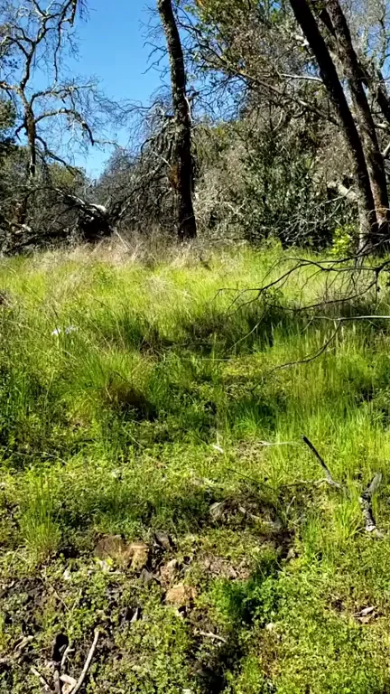 🌞 Spring Heat Nude Hike Adventure 🍑