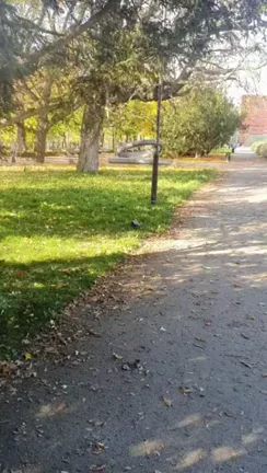 Even though the crow warned me, the couple in the other alley probably saw what I was doing anyway. Heh