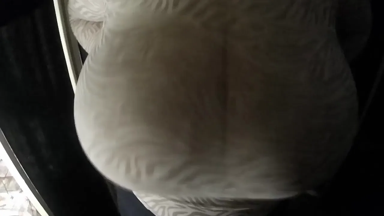 My cameraman is a pro boob handler 😁‡