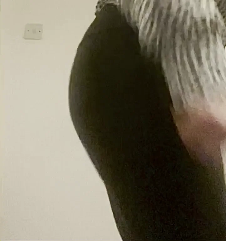 Looking for a dirty brunette slut?? look no further babes! SALE! Only fans for only $3.50 at the moment. Includes dirty content such as ass, pussy and butt plugs. Link in the comment to sub?