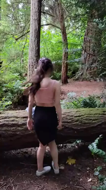 A nice walk through the woods ?