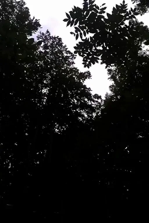 I made him cum on the forest, rubbed it over my boobs and let it dry :3