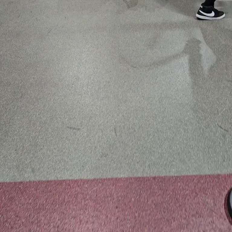 Yogapants in Action [oc]