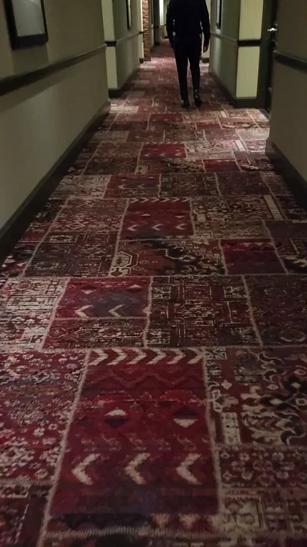 Roaming the hall [GIF]