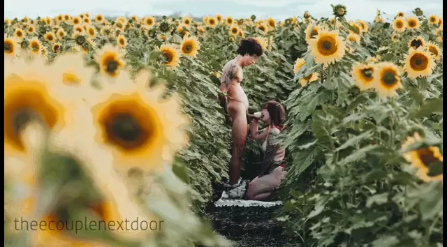 Fucking at a tourist hotspotðŸŒ»