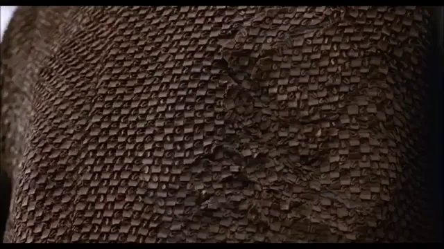 Roxanne Kernohan in Critters 2. It was a pretty good topless scene for a PG-13 movie. (1988)