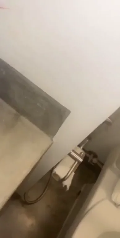 School Bathroom Thong Twerk Tease