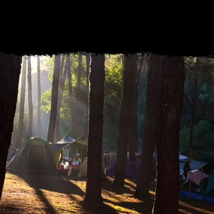 Fucking My Own Mother - The Pastor's Wife Part 3: The Annual Church Camping Trip