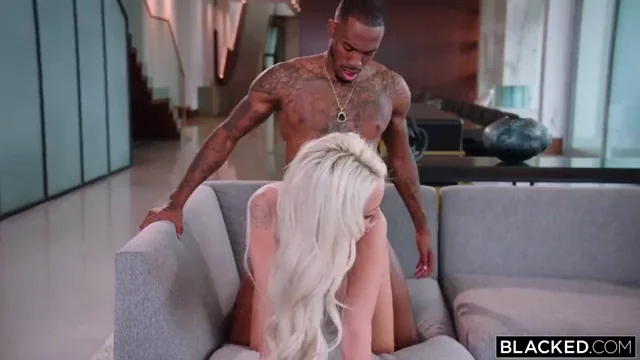 Dog Pound Chronicles 👆: Elsa Jean