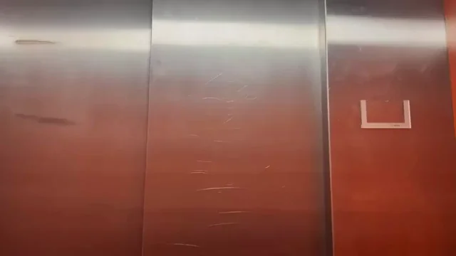 Elevators are fun for a quick blowjob