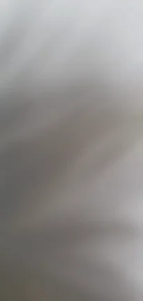 Easter Bunny PAWG MILF's Buttplug Tail Reward After Egg Hunt