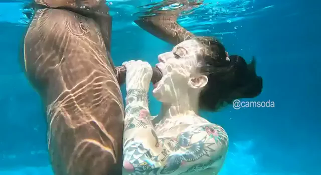 [TW]Underwater Snack