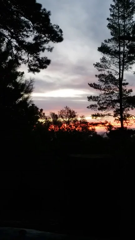 Sunrise Silouette