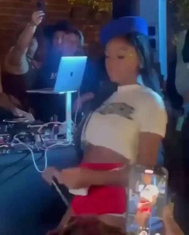 Janelle Monae flashes her tits during performance