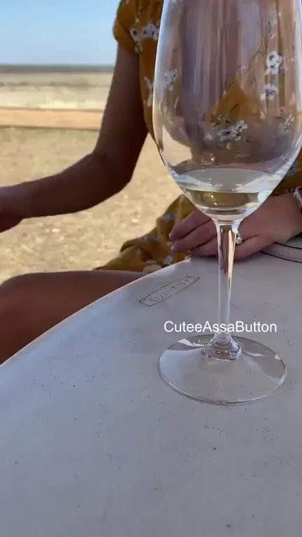 Wine pairs well with my titties.