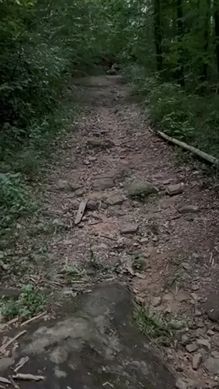 When I ask if you wanna go for a hike, this is what I mean 😁‰