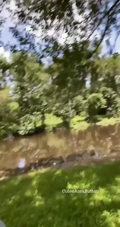 🌞 Suns Out, Tits Out in Public Park! 🍈🍈