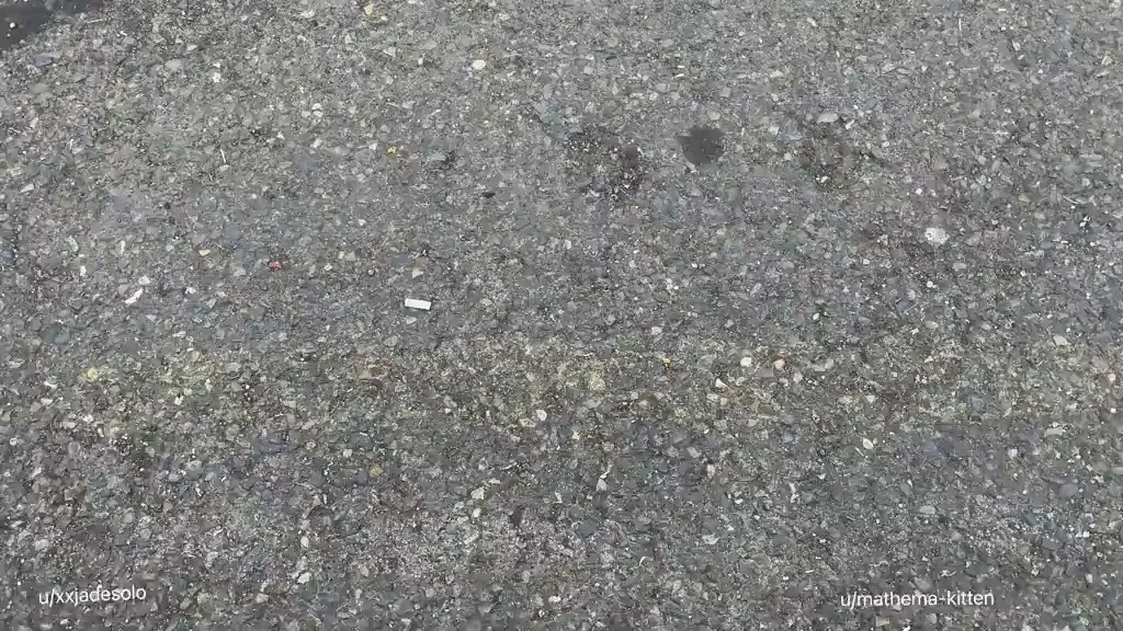 Why did we cross the road? To flash you on the other side [GIF]