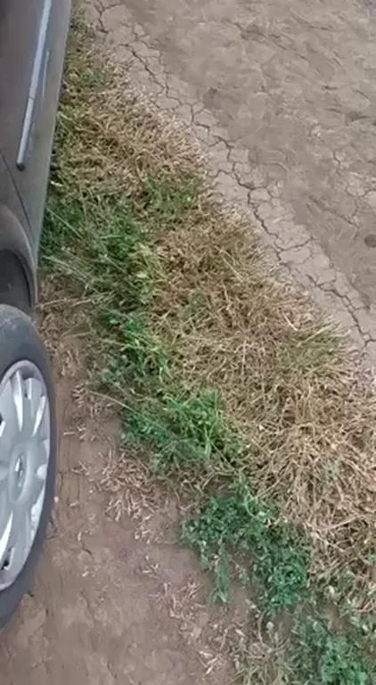 who else loves car sex? 😁