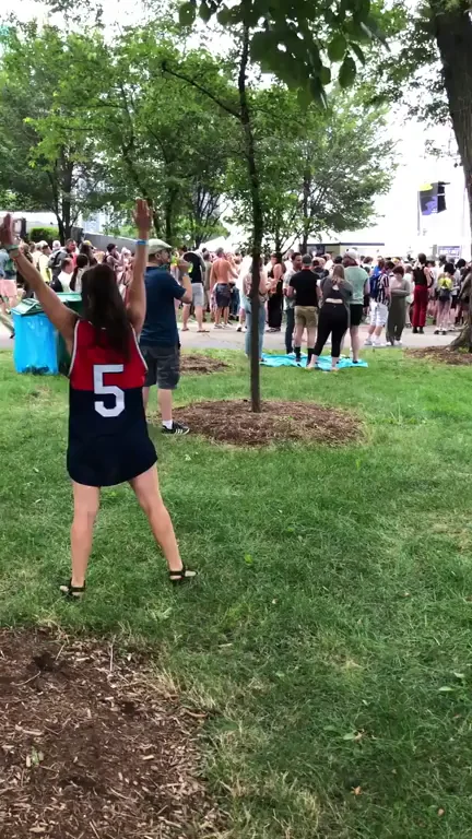 Decided to put on my own quick show at Lollapalooza (GIF)