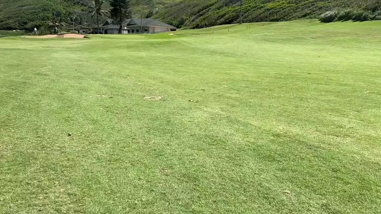 Having a little fun out on the golf course!